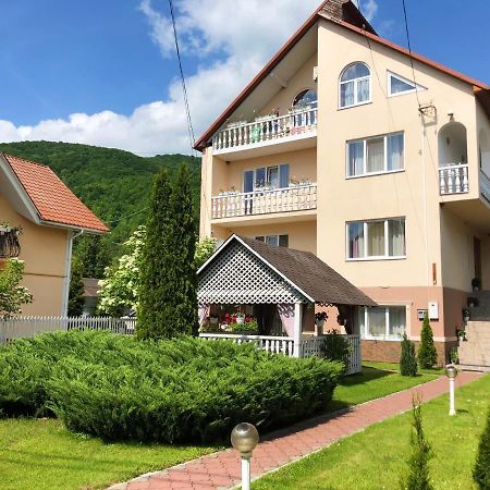У Оксани Hotel Solochyn Eksteriør billede