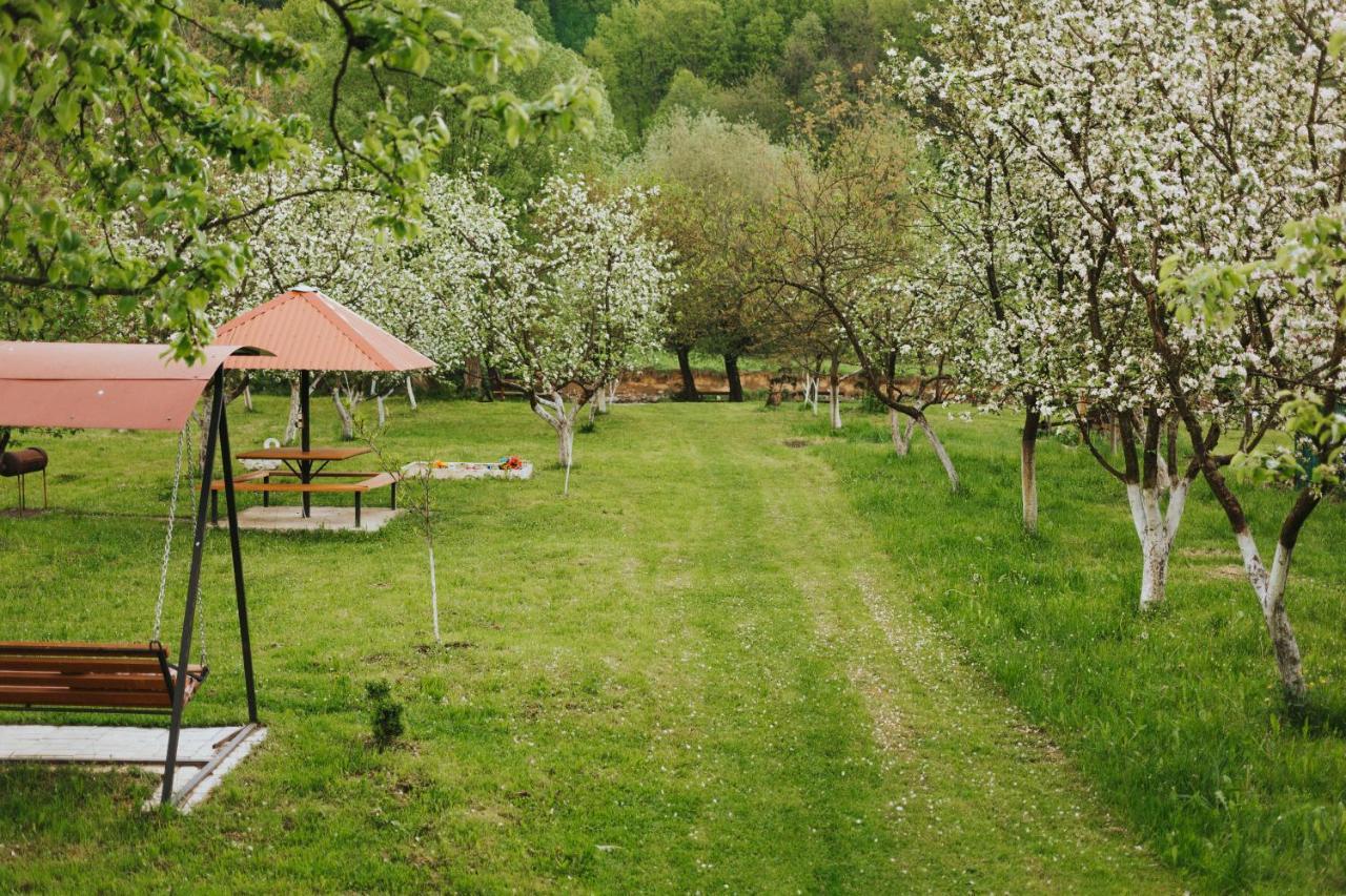 У Оксани Hotel Solochyn Eksteriør billede