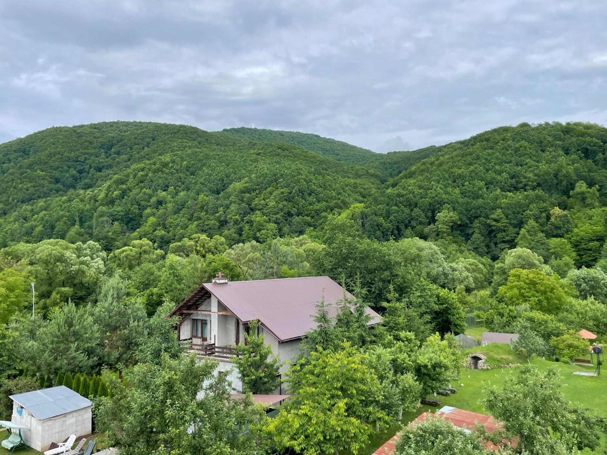 У Оксани Hotel Solochyn Eksteriør billede